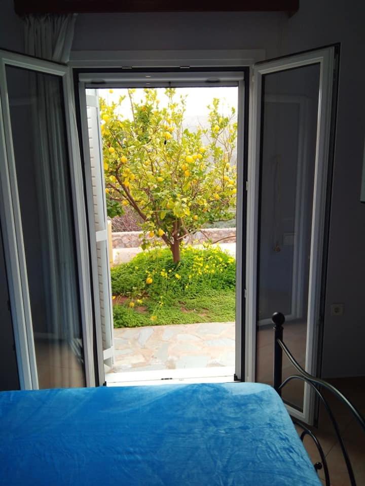 Alkioni Sea View Apartment Káto Zákros Buitenkant foto