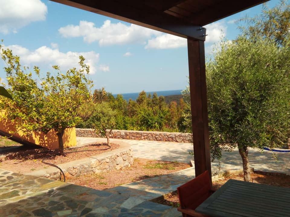 Alkioni Sea View Apartment Káto Zákros Buitenkant foto
